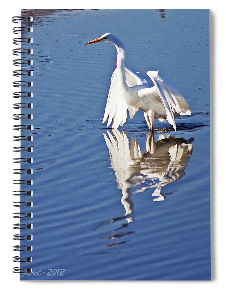 Egret Spiral Notebook featuring the photograph Great Egret by Farol Tomson