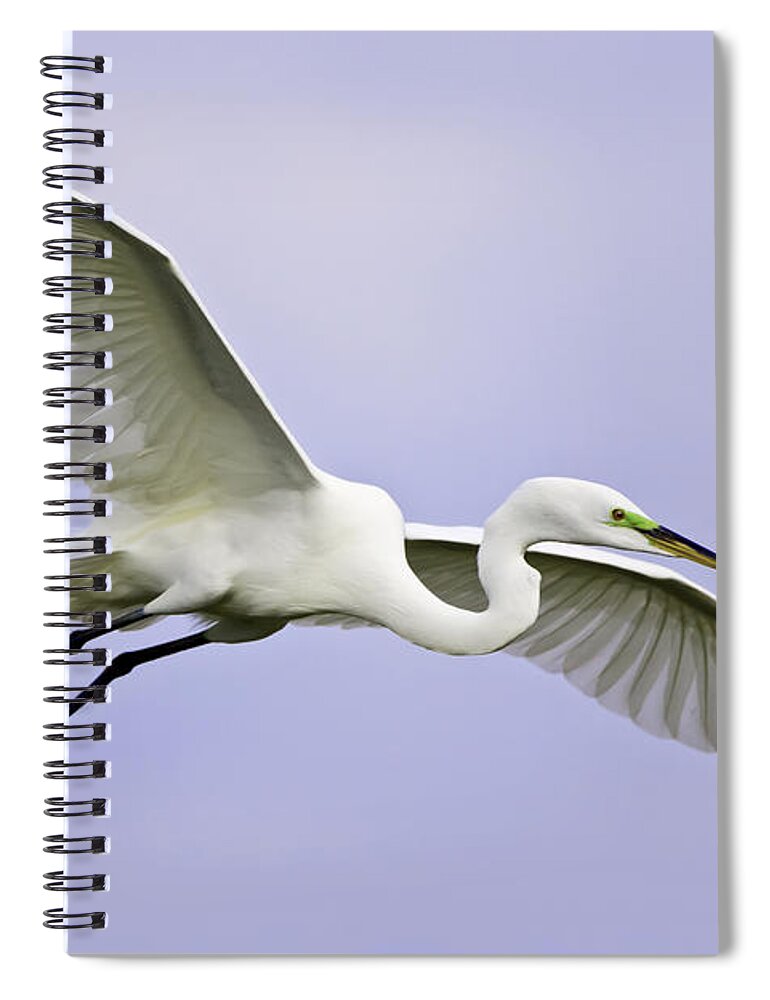 Sky Spiral Notebook featuring the photograph Great Egret in Breeding Plumage by Fred J Lord