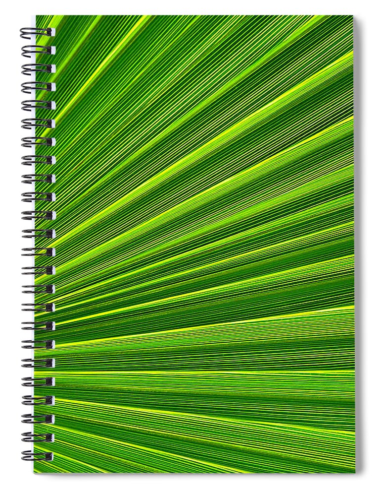 Abstract Art Spiral Notebook featuring the photograph Green Perspective by Steven Huszar