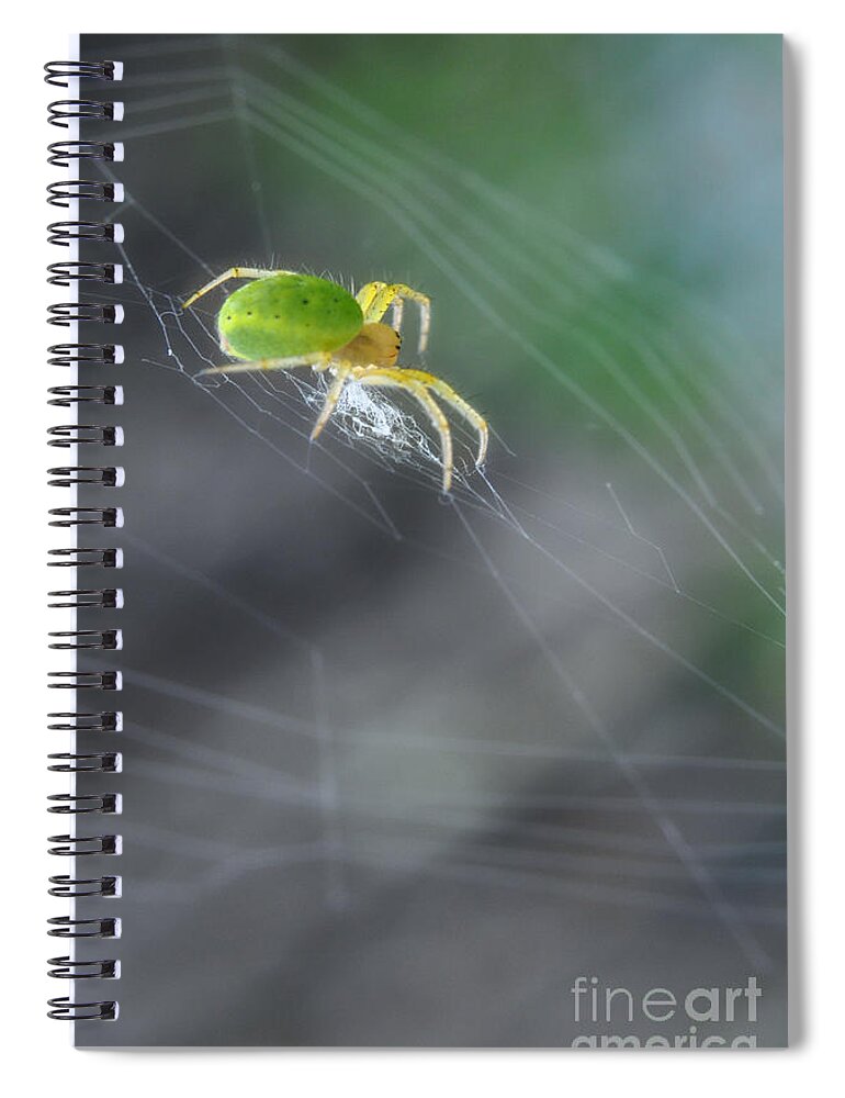 Yhun Suarez Spiral Notebook featuring the photograph Green Spider 1.0 by Yhun Suarez