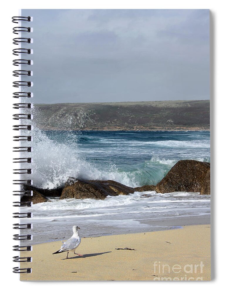 Seagull Spiral Notebook featuring the photograph Gull on the sand by Linsey Williams