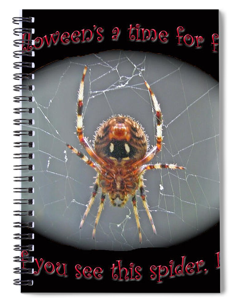 Halloween Spiral Notebook featuring the photograph Halloween Card - Marbled Orb Weaver Spider by Carol Senske