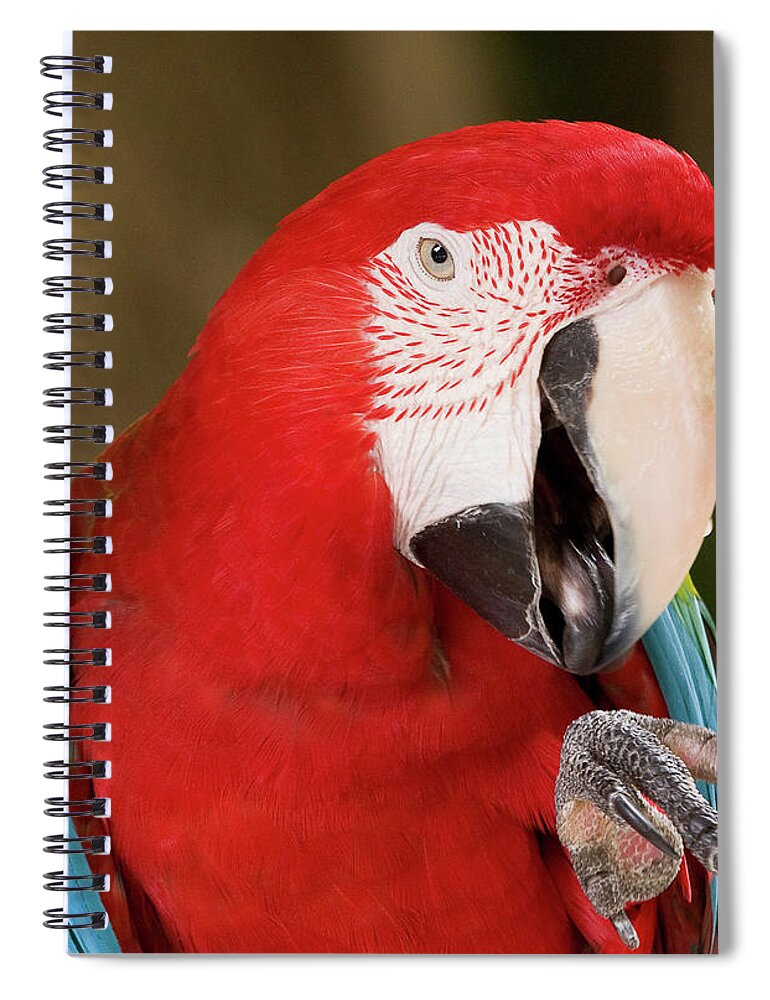 Birds Spiral Notebook featuring the photograph He went that way by Sue Karski