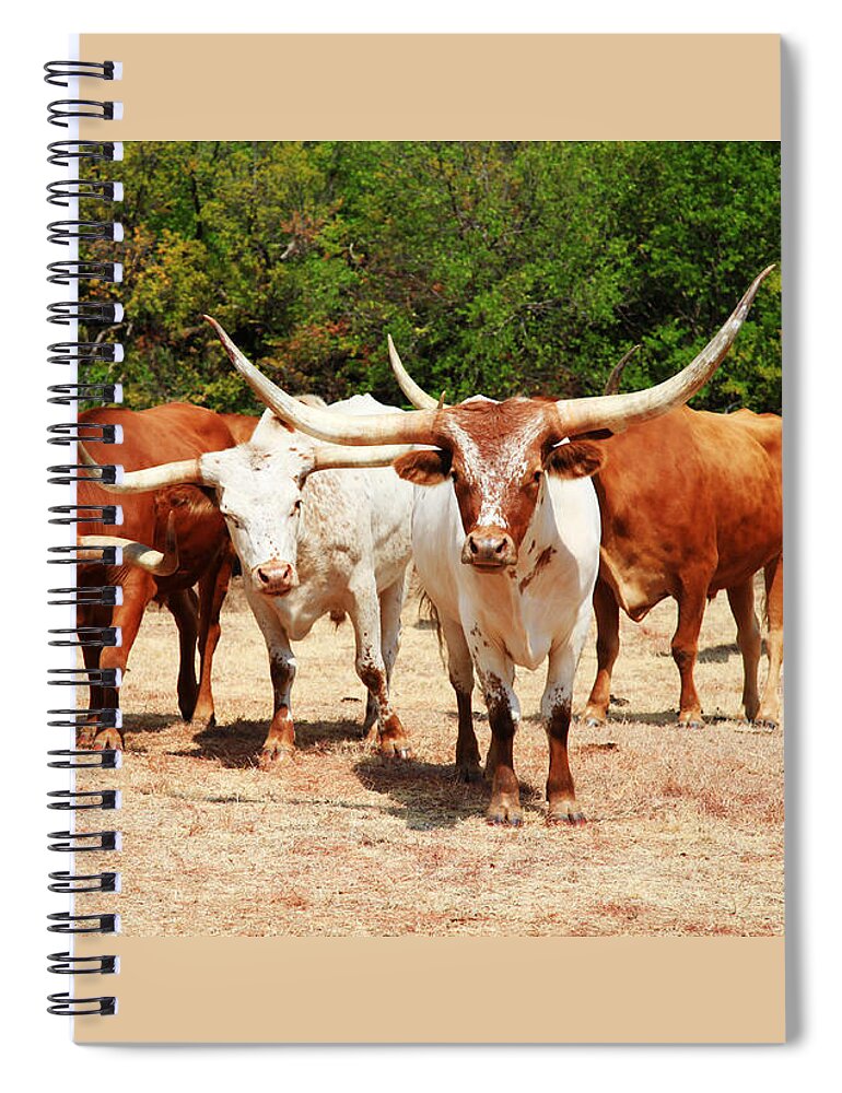 Longhorn Spiral Notebook featuring the photograph Some Long Horns Ya Got There by Toni Hopper