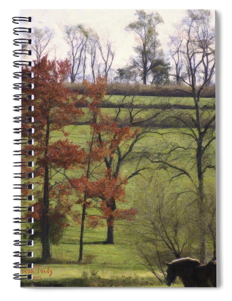 Horse Spiral Notebook featuring the photograph Horse On The Pasture by Trish Tritz