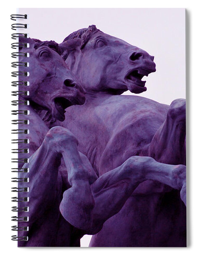 Horse Spiral Notebook featuring the photograph Horse Sculptures by Ang El