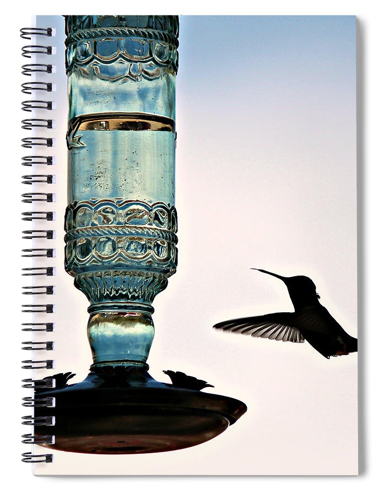 Hummingbird Spiral Notebook featuring the photograph Hummer at the Feeder by Jo Sheehan