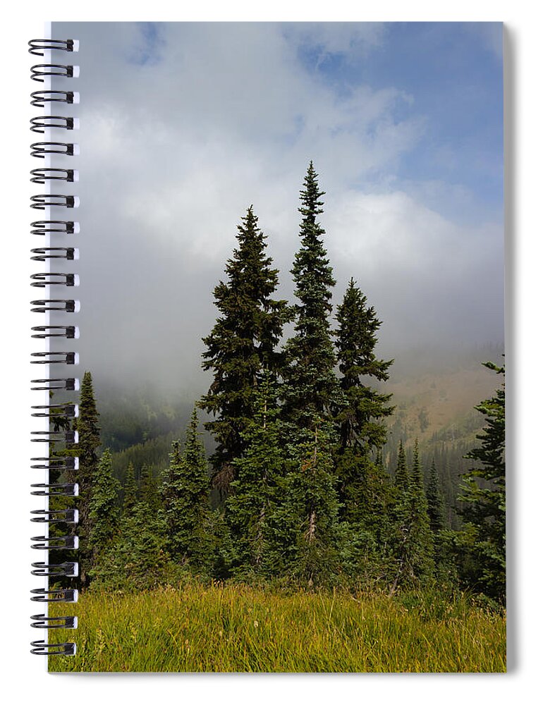 Hurricane Ridge Spiral Notebook featuring the photograph Hurricane Ridge Beauty by Heidi Smith