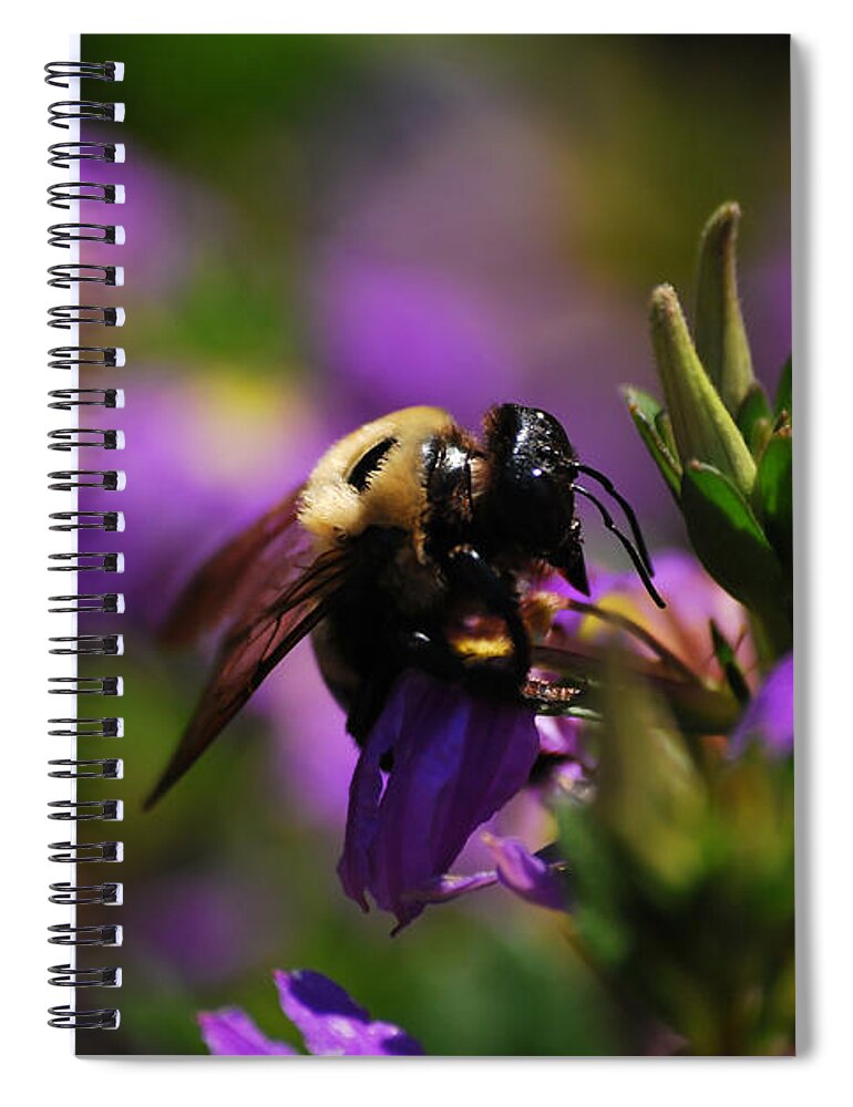 Bee Spiral Notebook featuring the photograph I Love My Job by Lori Tambakis