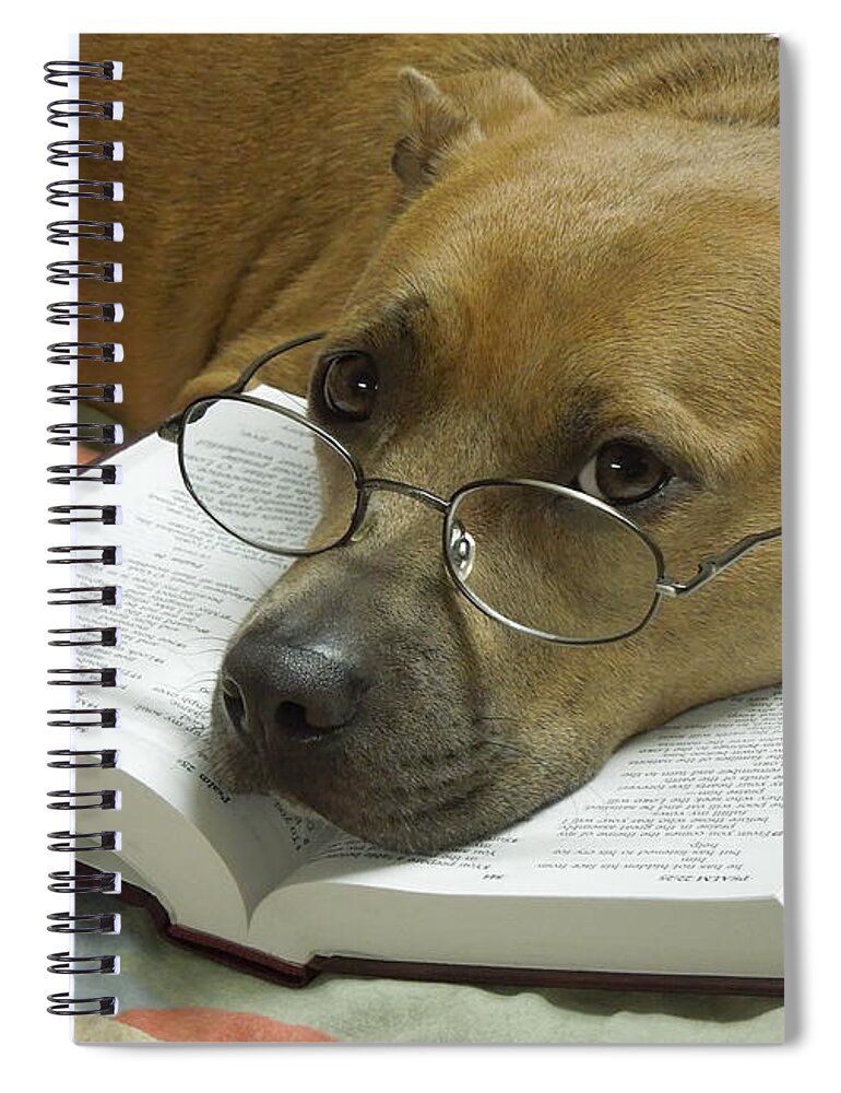 Pit Spiral Notebook featuring the photograph I Read My Bible Every Day by Renee Trenholm