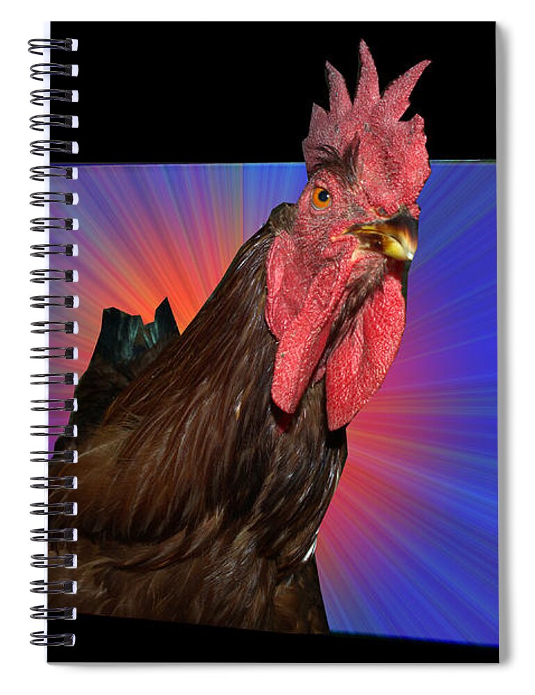 Bird Spiral Notebook featuring the photograph I See You by Donna Brown
