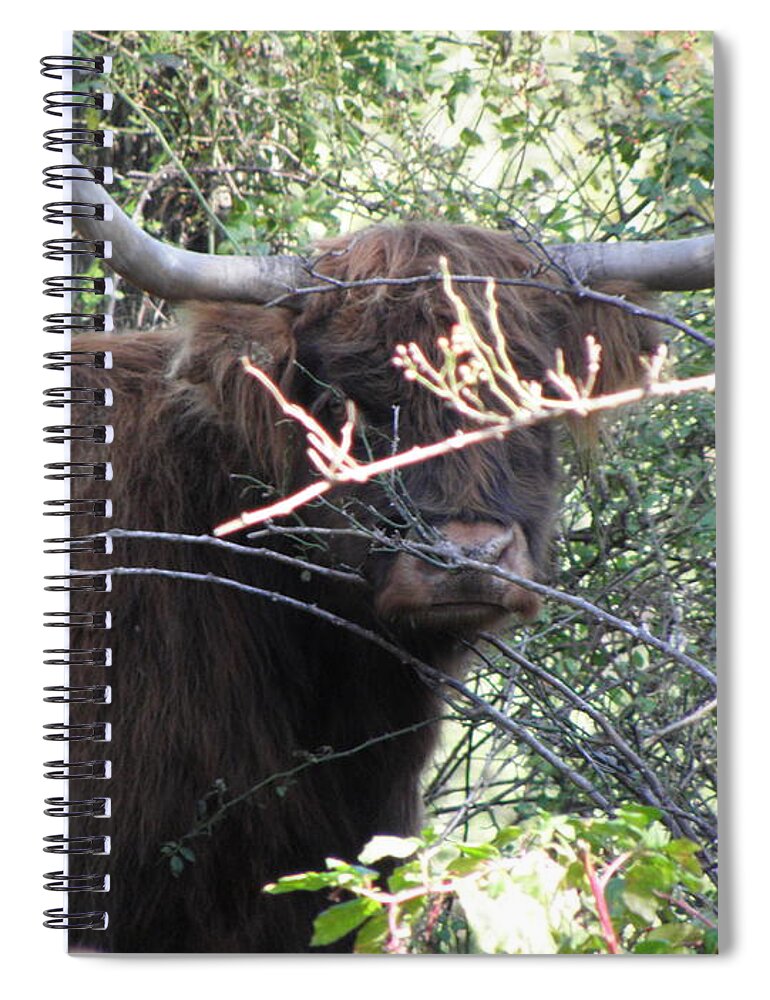 Bull Spiral Notebook featuring the photograph I See You Looking At Me by Kim Galluzzo