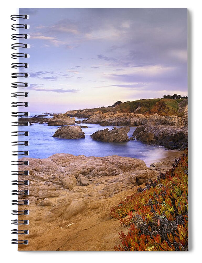 00176748 Spiral Notebook featuring the photograph Ice Plant At Bean Hollow by Tim Fitzharris