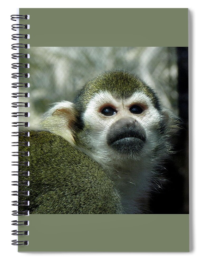 Monkey Spiral Notebook featuring the photograph In Thought by Kim Galluzzo Wozniak