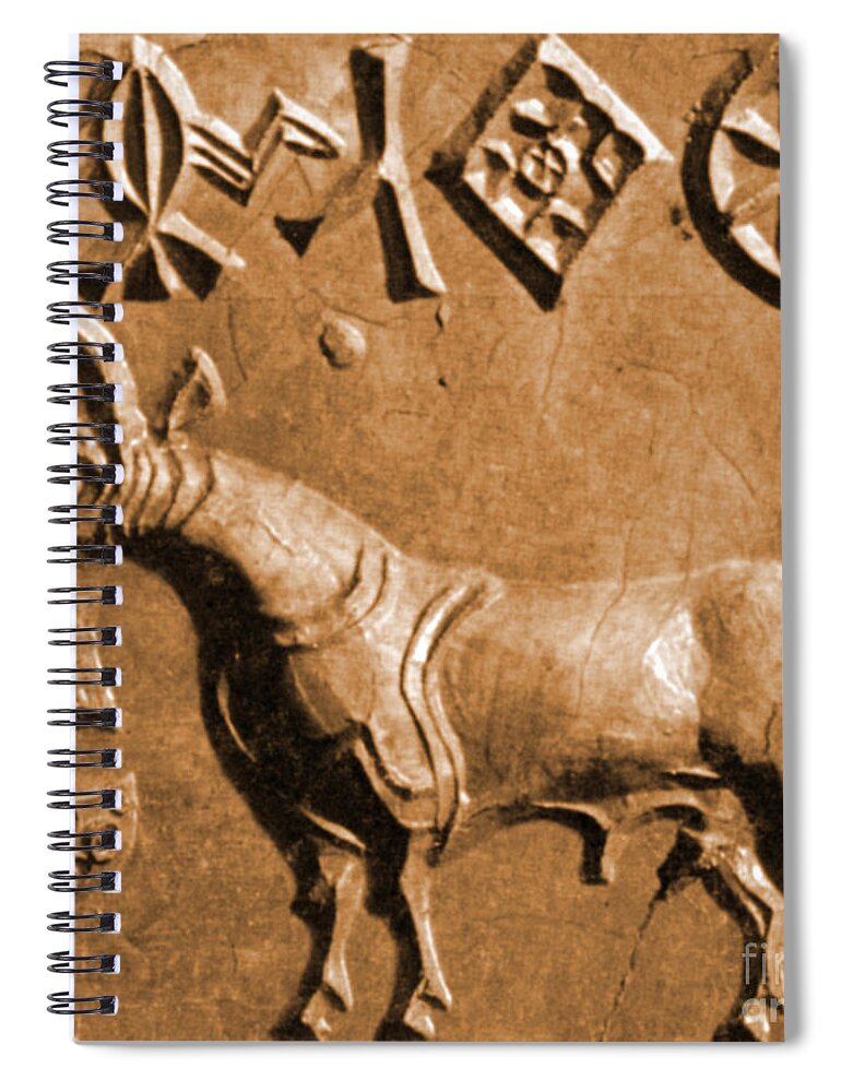 Historic Spiral Notebook featuring the photograph Indus Valley Unicorn Relief by Science Source