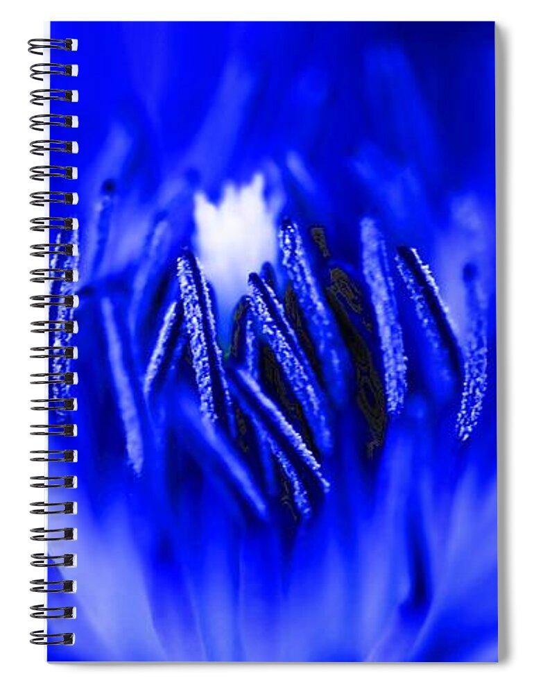 Beautiful Spiral Notebook featuring the photograph Inside A Flower by Henrik Lehnerer