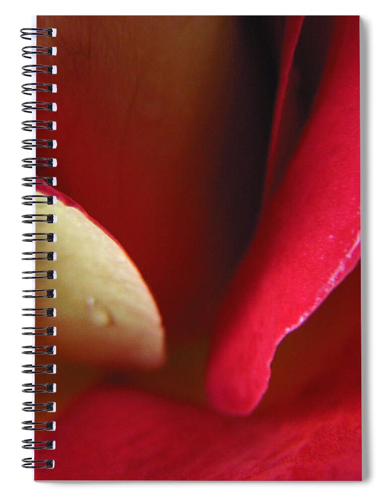 Macro Spiral Notebook featuring the photograph Intensity by Stacey Zimmerman