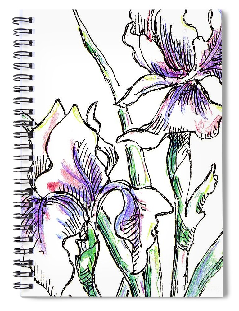 Iris Spiral Notebook featuring the painting Iris Drawing 2 by Gordon Punt