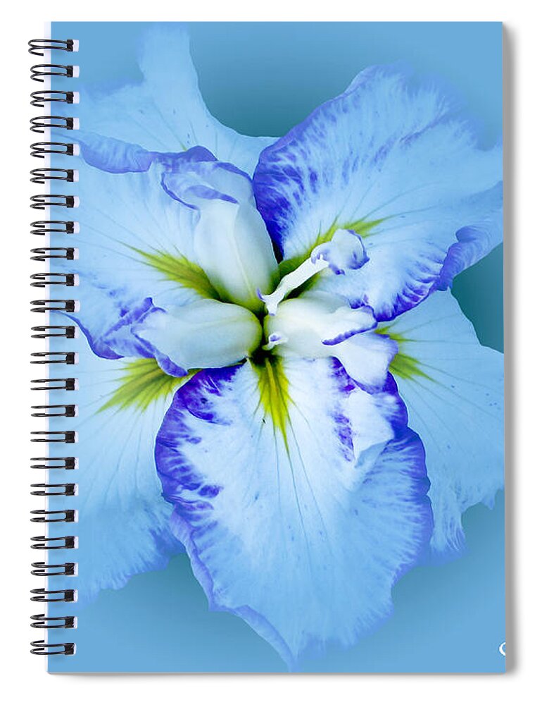 Iris Spiral Notebook featuring the photograph Iris in Blue by Carol F Austin
