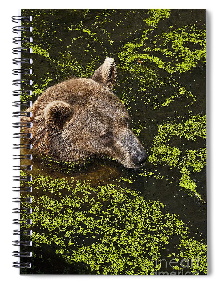 Nature Spiral Notebook featuring the photograph It's cool in here by Heiko Koehrer-Wagner