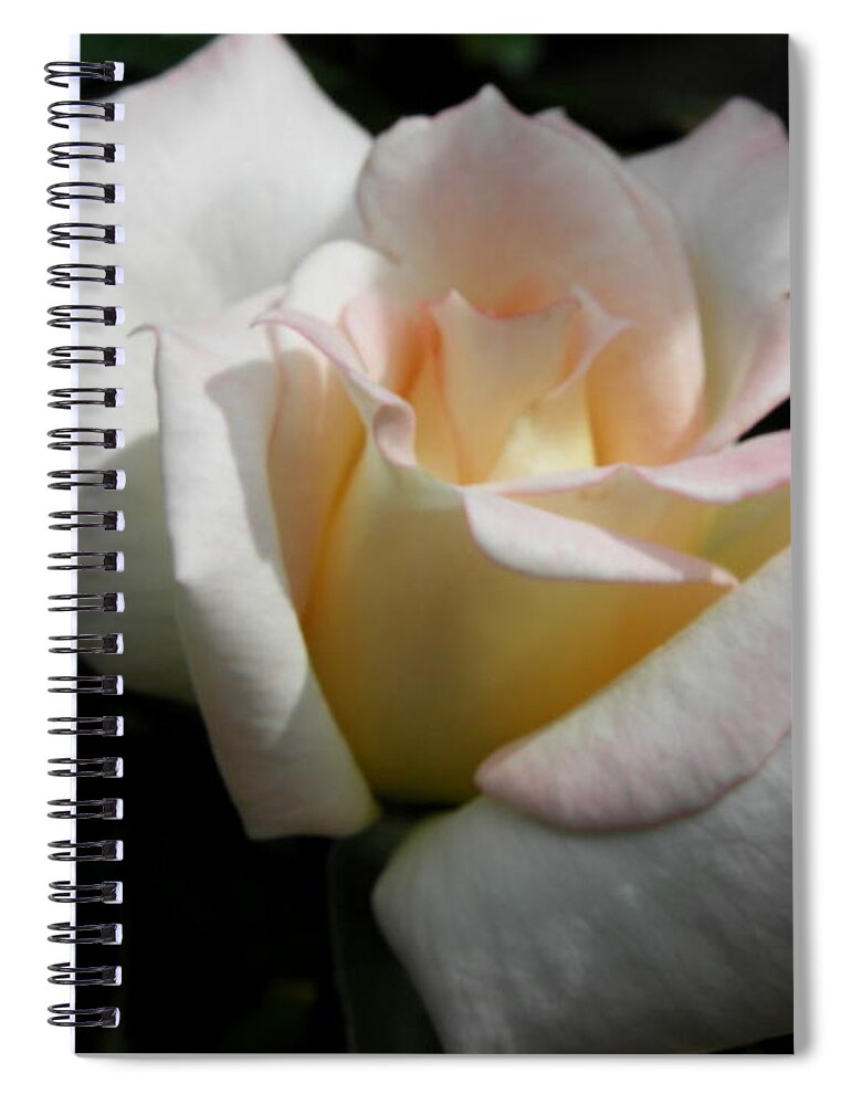 Pink Spiral Notebook featuring the photograph Just A Hint Of The Sun Rays by Kim Galluzzo