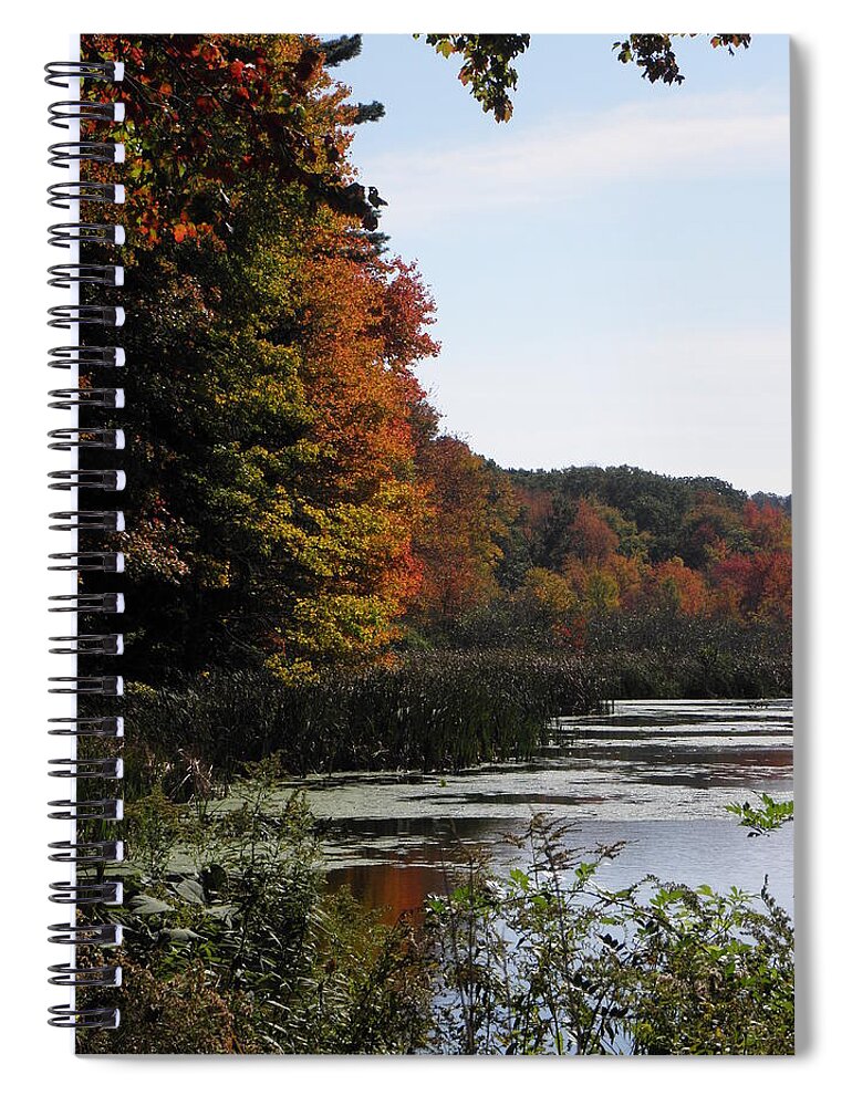 Autumn Spiral Notebook featuring the photograph Just simple Beauty by Kim Galluzzo Wozniak