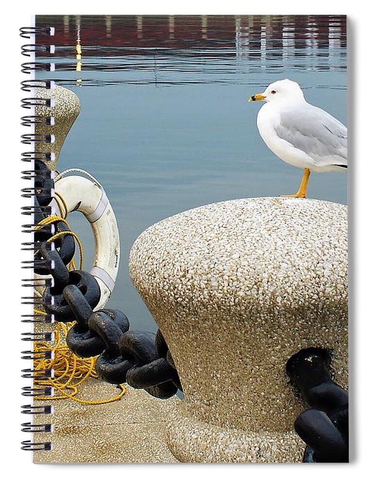 Seagull Spiral Notebook featuring the photograph Keeping Watch by Michelle Joseph-Long