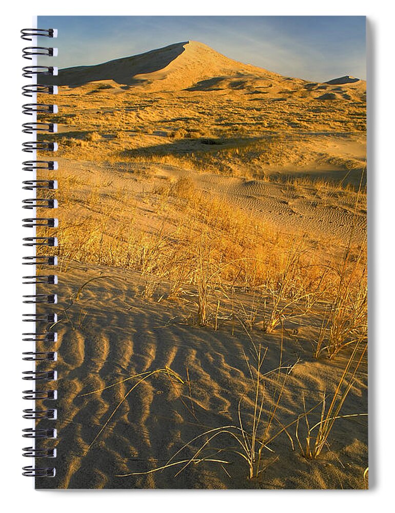 00176761 Spiral Notebook featuring the photograph Kelso Dunes And Grasses Mojave National by Tim Fitzharris