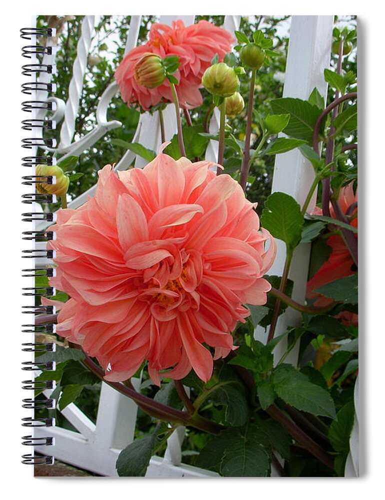 Flowers Spiral Notebook featuring the photograph La Esperanza by Yenni Harrison