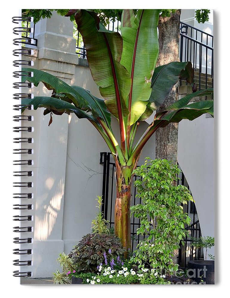 Hacienda Spiral Notebook featuring the photograph La Hacienda by Maria Urso