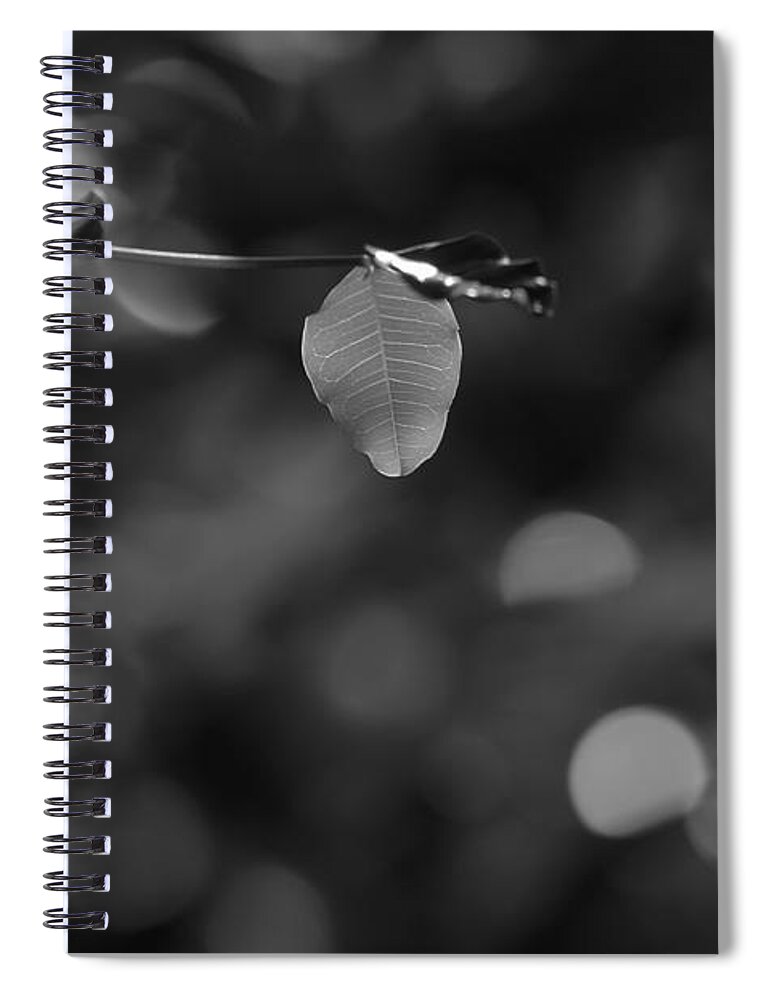 Environment Spiral Notebook featuring the photograph Leaves And Light by Dariusz Gudowicz