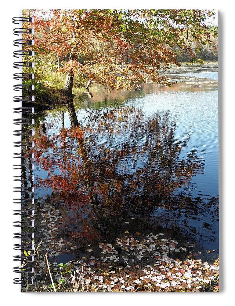 Leaves Spiral Notebook featuring the photograph Leaves Of Reflections by Kim Galluzzo Wozniak