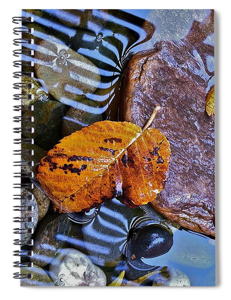 Leaves Spiral Notebook featuring the photograph Leaves Rocks Shadows by Bill Owen