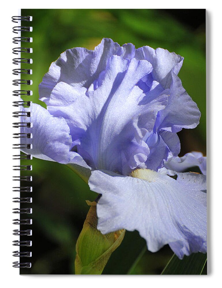 Beautiful Iris Spiral Notebook featuring the photograph Lilac Blue Iris Flower by Jai Johnson