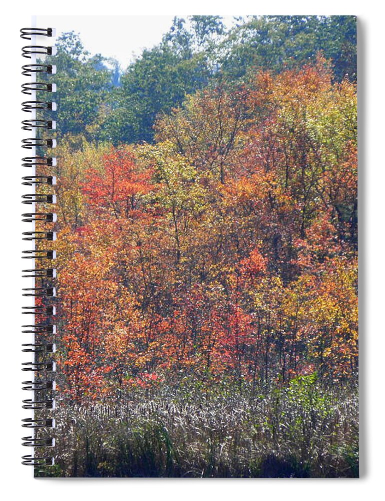 Autumn Spiral Notebook featuring the photograph Looks Like A Painting by Kim Galluzzo Wozniak