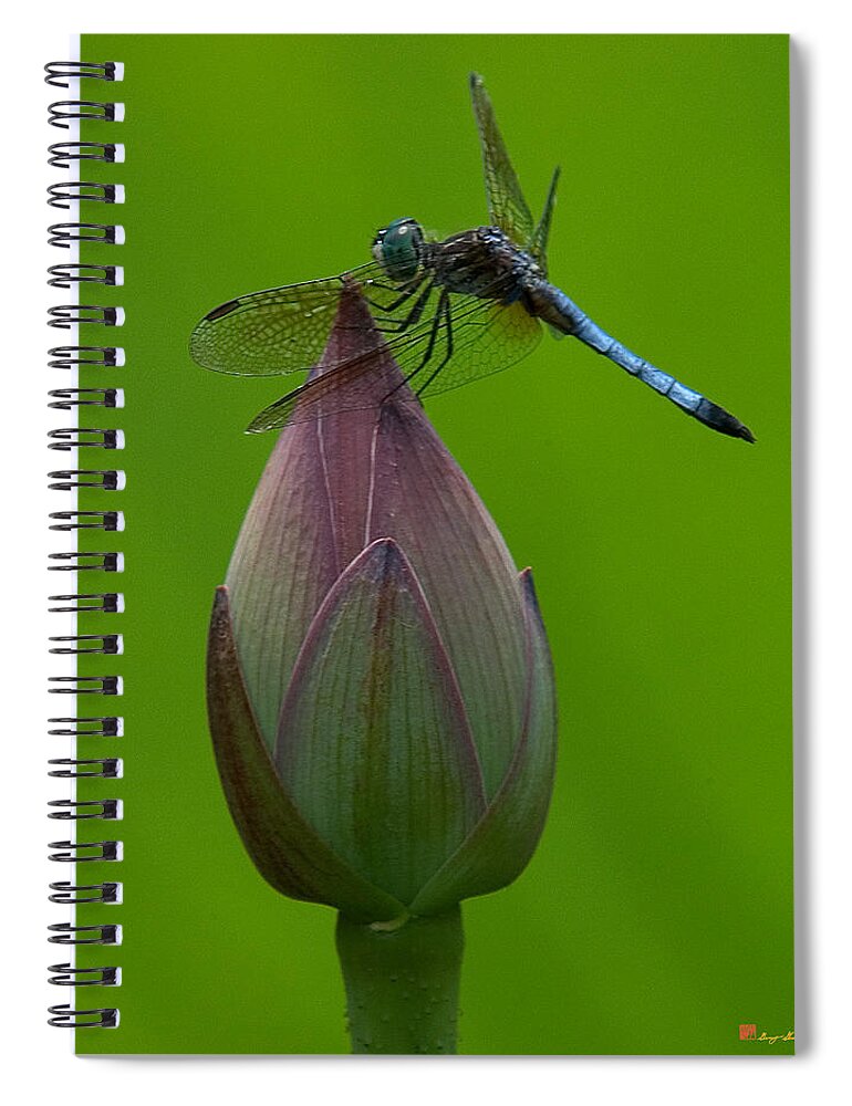 Nature Spiral Notebook featuring the photograph Lotus Bud and Blue Dasher Dragonfly DL007 by Gerry Gantt