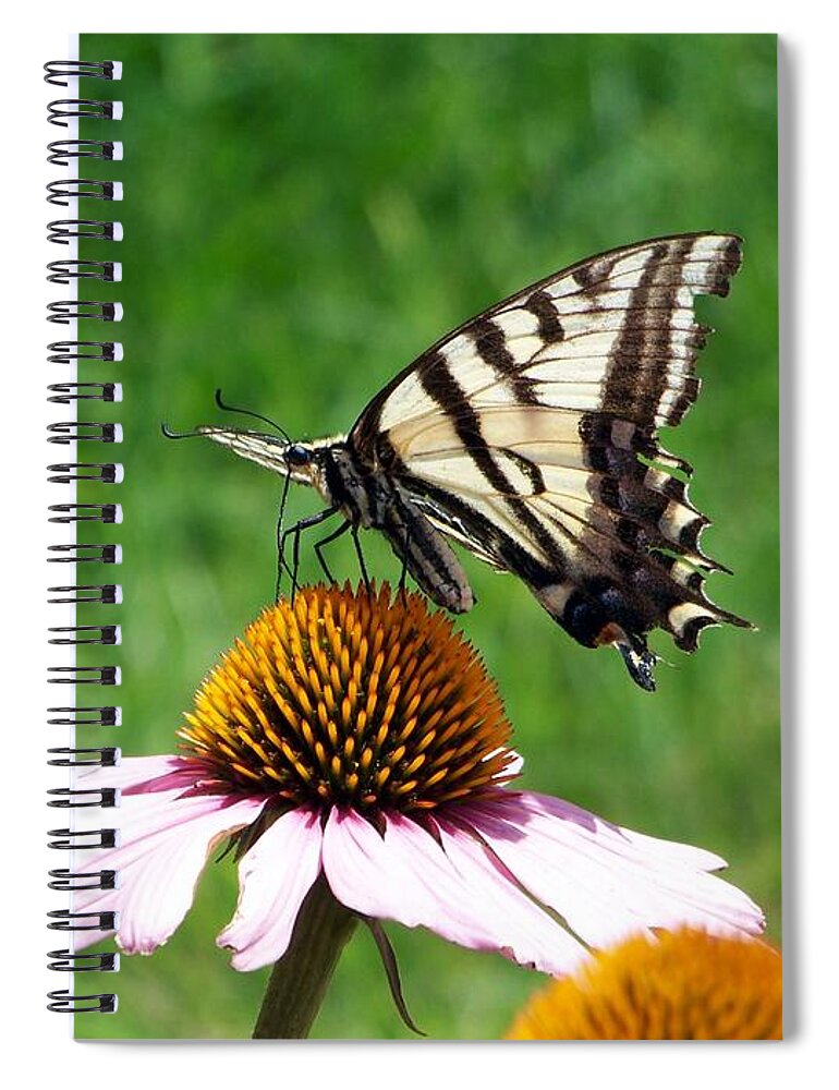 Butterflies Spiral Notebook featuring the photograph Lunch Time by Dorrene BrownButterfield