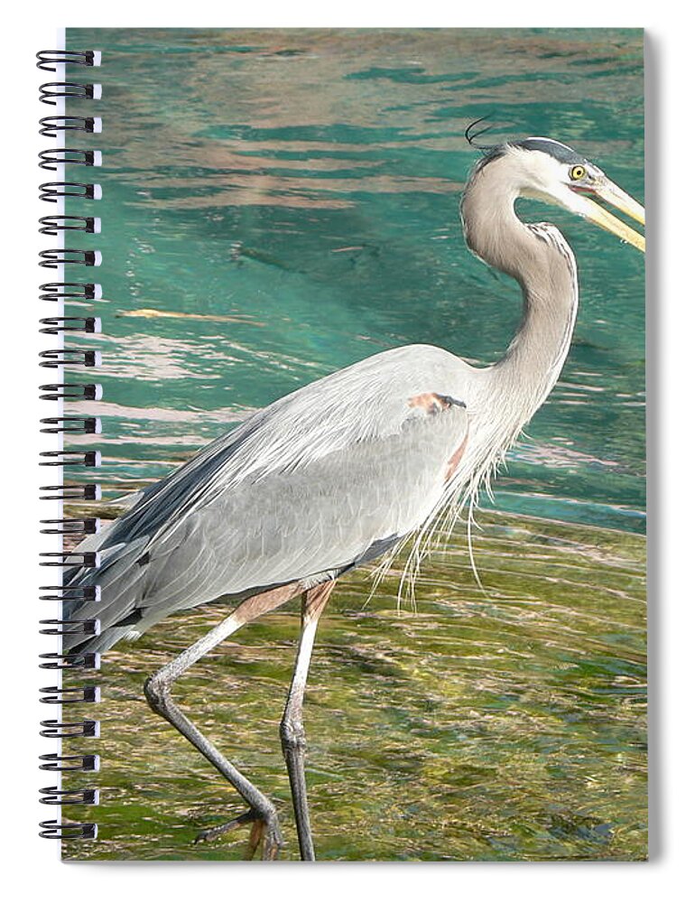 Great Spiral Notebook featuring the photograph Lunchtime by Laurel Best