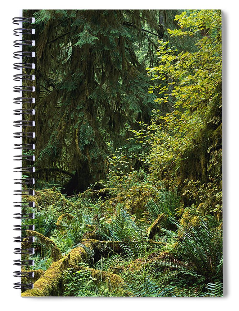 00173577 Spiral Notebook featuring the photograph Lush Vegetation In The Hoh Rain Forest by Tim Fitzharris