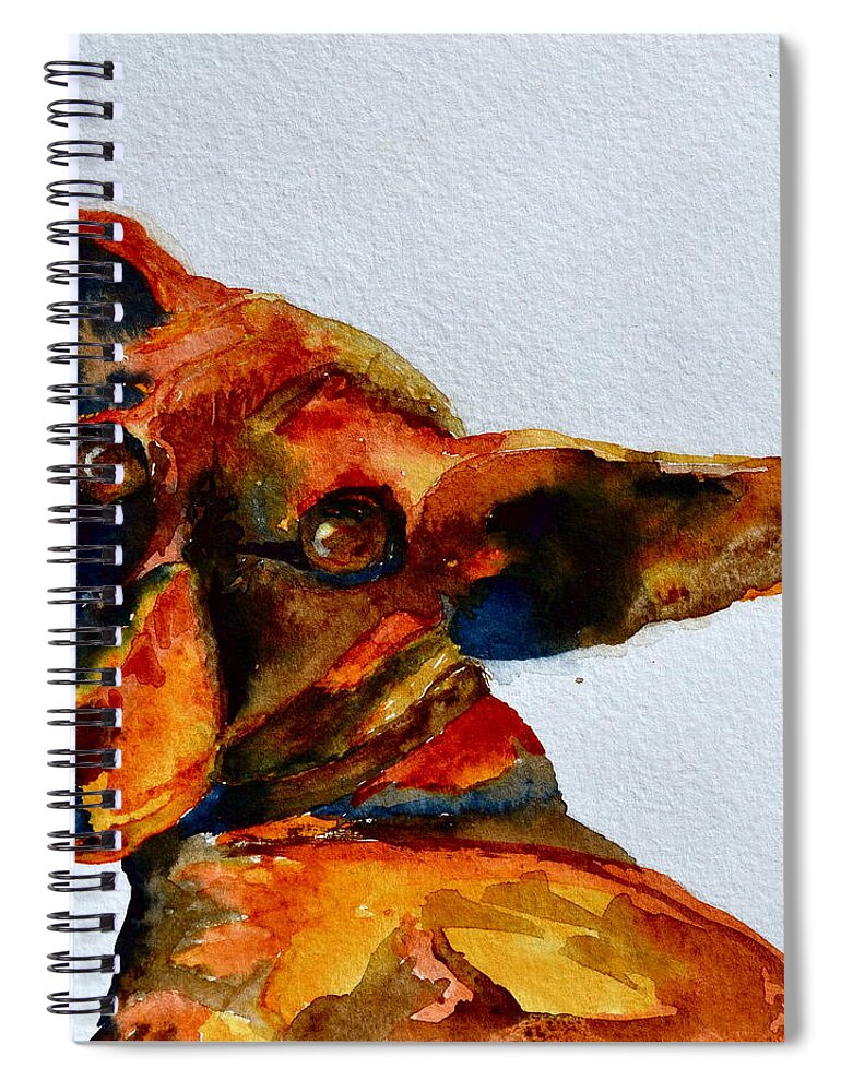 Dachshund Spiral Notebook featuring the painting Macey by Beverley Harper Tinsley