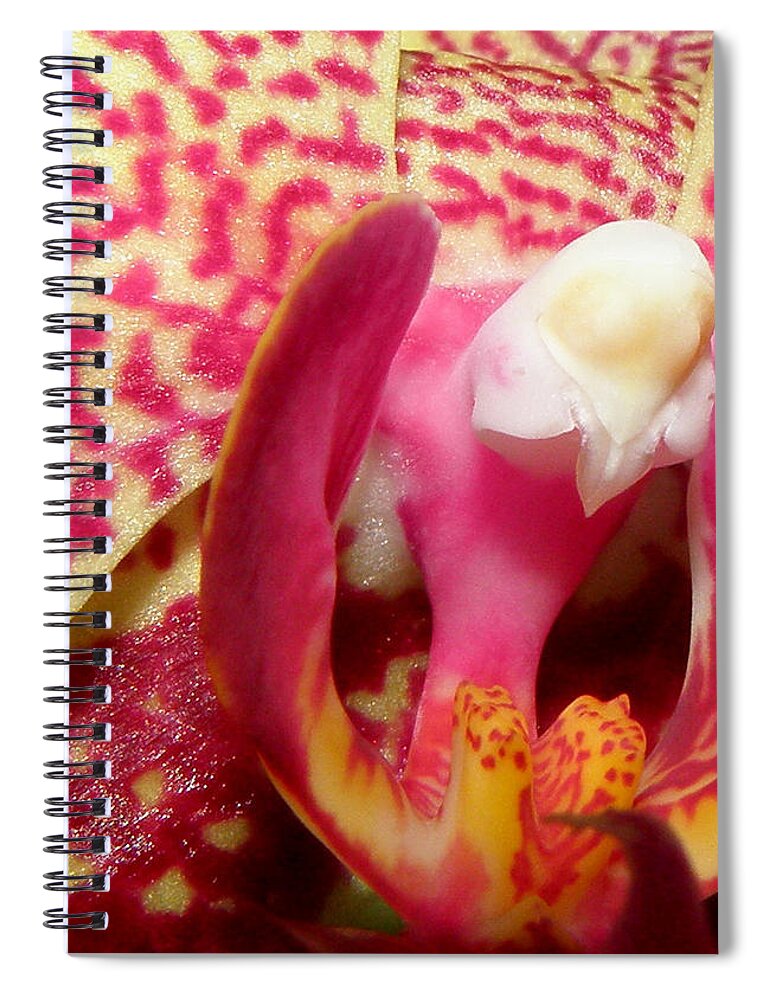 Orchid Spiral Notebook featuring the photograph Magical Beauty by Kim Galluzzo