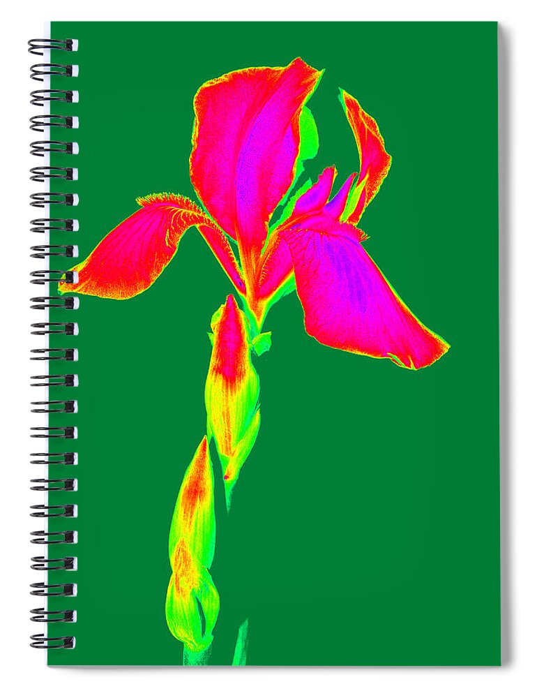 Iris Spiral Notebook featuring the photograph Manipulated Beauty by Kim Galluzzo Wozniak