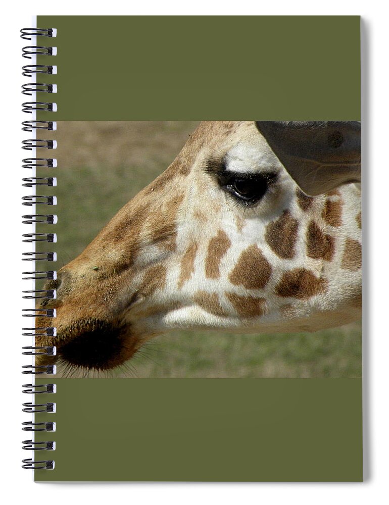 Giraffe Spiral Notebook featuring the photograph Marks Of Beauty by Kim Galluzzo Wozniak