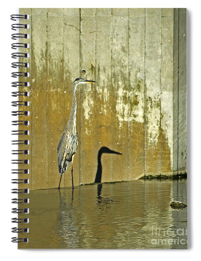 Bird Spiral Notebook featuring the photograph Me And My Shadow by Terry Doyle