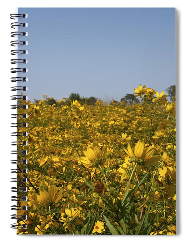 Landscape Spiral Notebook featuring the photograph Meadow at Terapin Park by Charles Kraus