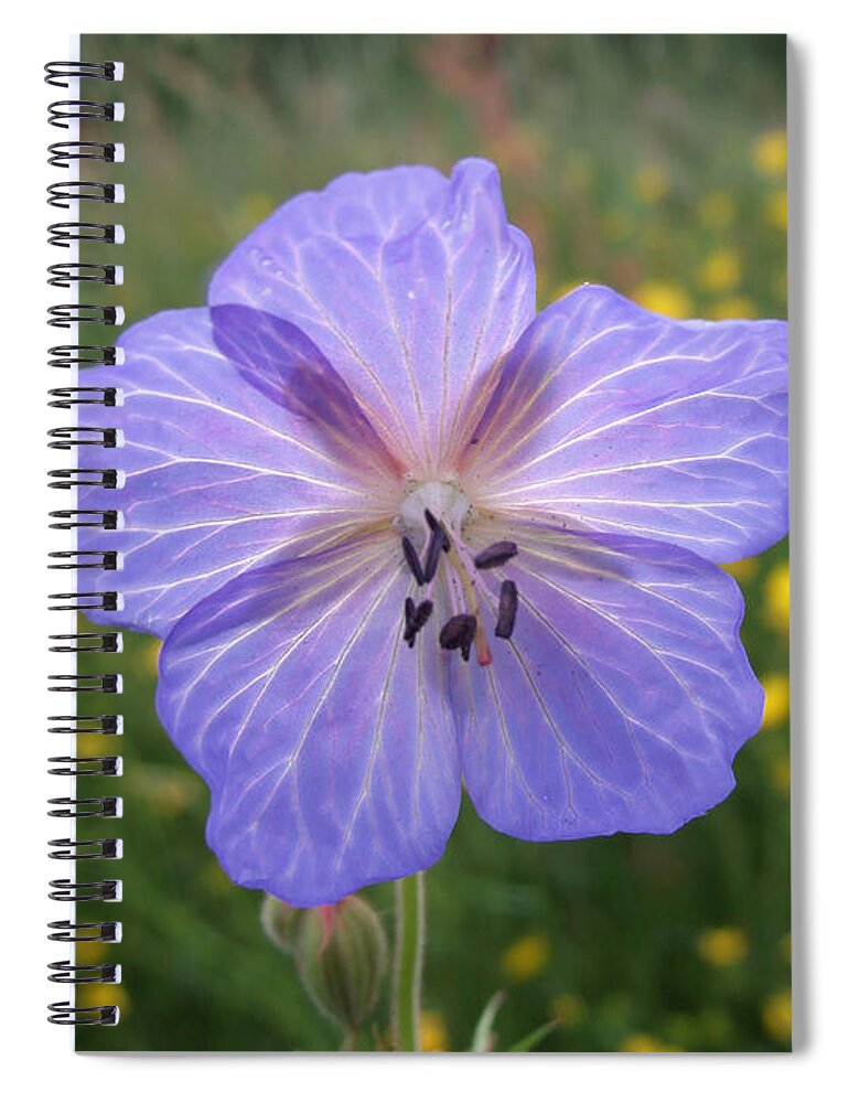 Meadow Cranesbill Spiral Notebook featuring the photograph Meadow Cranesbill Geranium pratense by Matthias Hauser