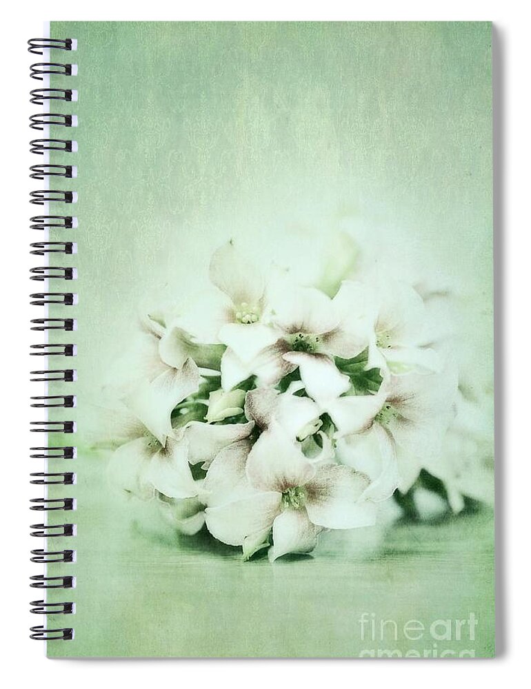 Kalanchoe Spiral Notebook featuring the photograph Mint Green by Priska Wettstein