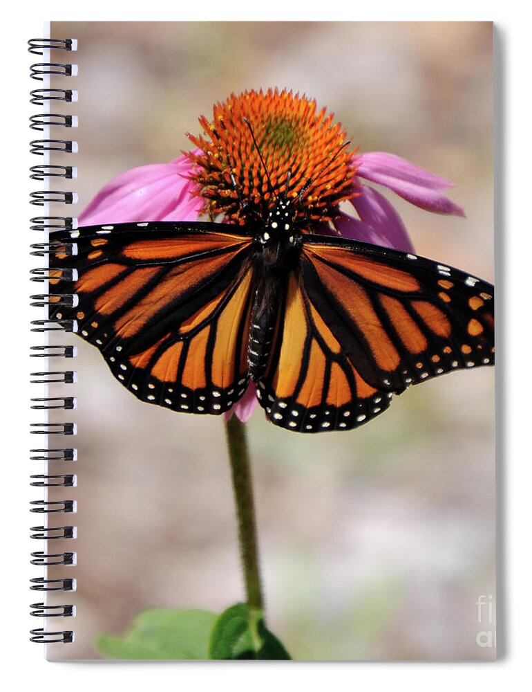 Monarch Spiral Notebook featuring the photograph Monarch by Ronald Grogan