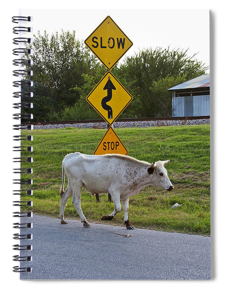 Cattle Spiral Notebook featuring the photograph Mooving along by Toni Hopper