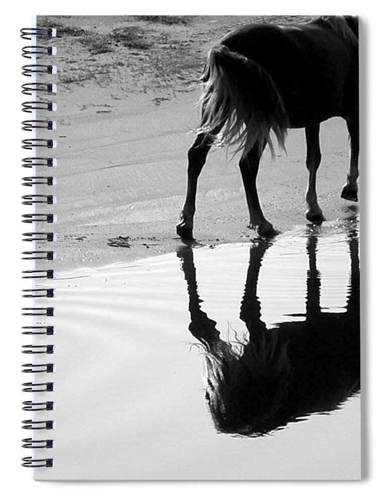 Wild Spiral Notebook featuring the photograph Morning Stroll by Kim Galluzzo
